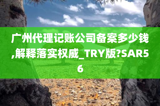 广州代理记账公司备案多少钱,解释落实权威_TRY版?SAR56