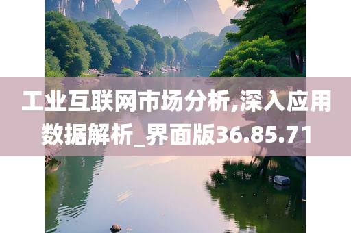 工业互联网市场分析,深入应用数据解析_界面版36.85.71