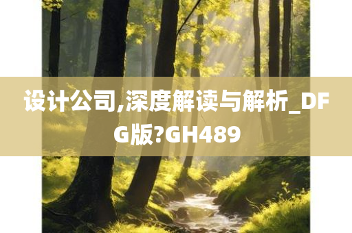 设计公司,深度解读与解析_DFG版?GH489