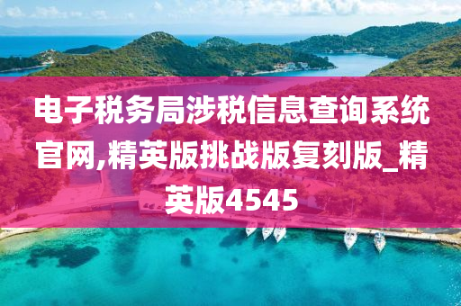 电子税务局涉税信息查询系统官网,精英版挑战版复刻版_精英版4545