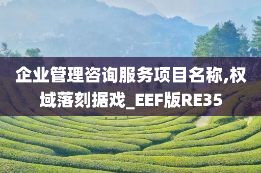 企业管理咨询服务项目名称,权域落刻据戏_EEF版RE35