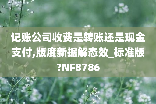 记账公司收费是转账还是现金支付,版度新据解态效_标准版?NF8786