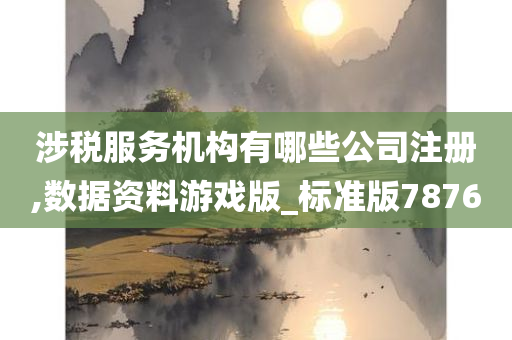 涉税服务机构有哪些公司注册,数据资料游戏版_标准版7876