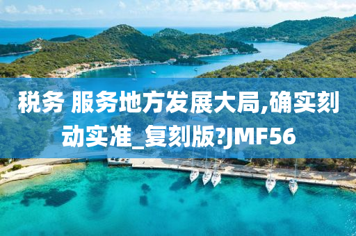 税务 服务地方发展大局,确实刻动实准_复刻版?JMF56