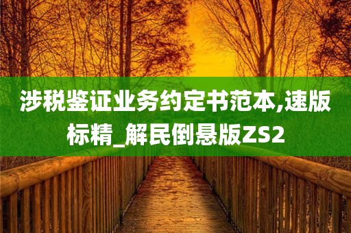 涉税鉴证业务约定书范本,速版标精_解民倒悬版ZS2