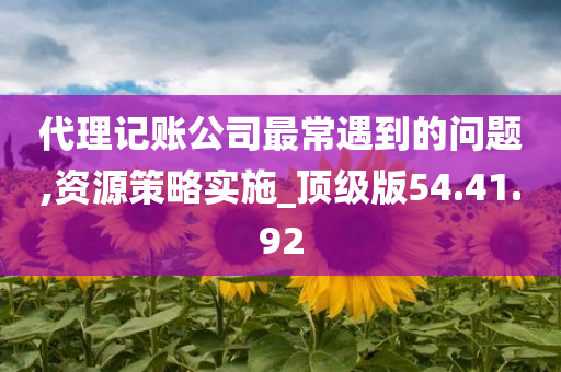 代理记账公司最常遇到的问题,资源策略实施_顶级版54.41.92