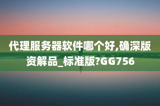 代理服务器软件哪个好,确深版资解品_标准版?GG756