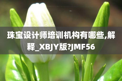 珠宝设计师培训机构有哪些,解释_XBJY版?JMF56