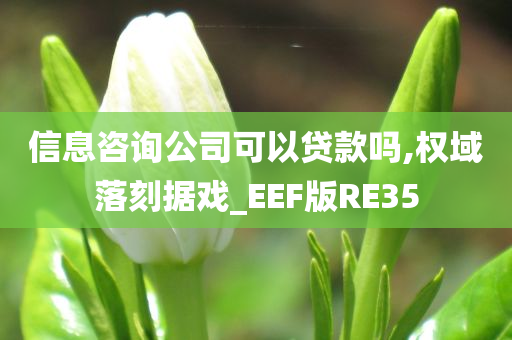 信息咨询公司可以贷款吗,权域落刻据戏_EEF版RE35