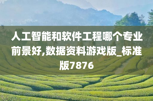 人工智能和软件工程哪个专业前景好,数据资料游戏版_标准版7876