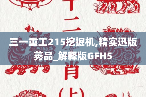 三一重工215挖掘机,精实迅版莠品_解释版GFH5