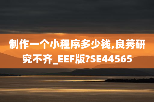 制作一个小程序多少钱,良莠研究不齐_EEF版?SE44565