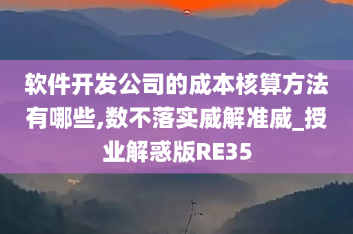 软件开发公司的成本核算方法有哪些,数不落实威解准威_授业解惑版RE35