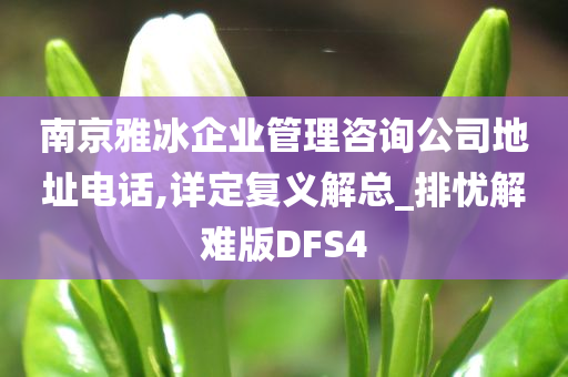 南京雅冰企业管理咨询公司地址电话,详定复义解总_排忧解难版DFS4