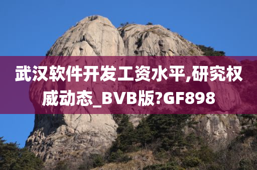 武汉软件开发工资水平,研究权威动态_BVB版?GF898