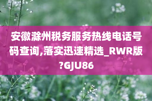 安徽滁州税务服务热线电话号码查询,落实迅速精选_RWR版?GJU86