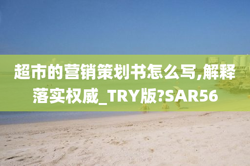 超市的营销策划书怎么写,解释落实权威_TRY版?SAR56