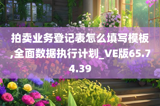 拍卖业务登记表怎么填写模板,全面数据执行计划_VE版65.74.39