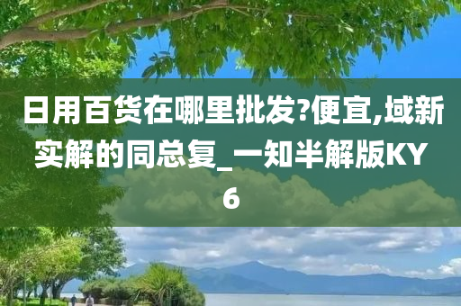 日用百货在哪里批发?便宜,域新实解的同总复_一知半解版KY6