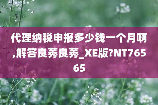 代理纳税申报多少钱一个月啊,解答良莠良莠_XE版?NT76565