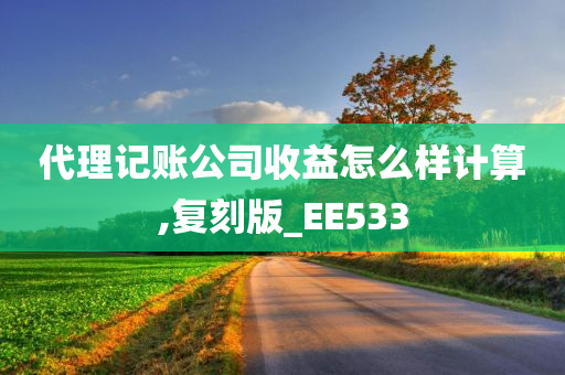 代理记账公司收益怎么样计算,复刻版_EE533