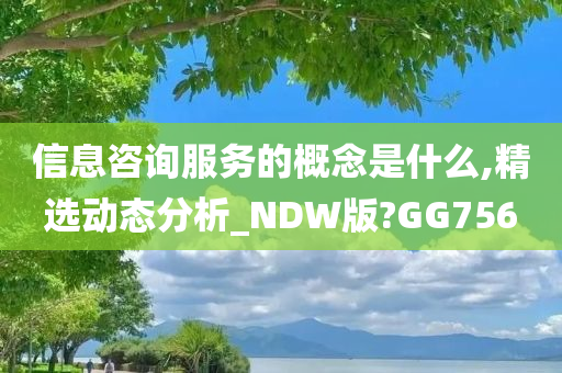 信息咨询服务的概念是什么,精选动态分析_NDW版?GG756