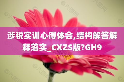 涉税实训心得体会,结构解答解释落实_CXZS版?GH9