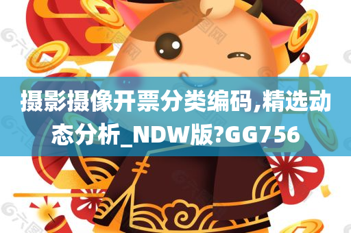 摄影摄像开票分类编码,精选动态分析_NDW版?GG756