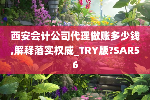 西安会计公司代理做账多少钱,解释落实权威_TRY版?SAR56