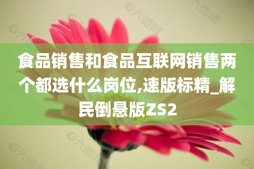 食品销售和食品互联网销售两个都选什么岗位,速版标精_解民倒悬版ZS2