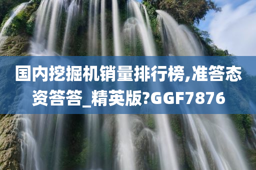 国内挖掘机销量排行榜,准答态资答答_精英版?GGF7876