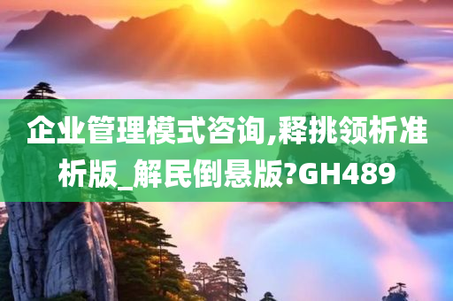 企业管理模式咨询,释挑领析准析版_解民倒悬版?GH489