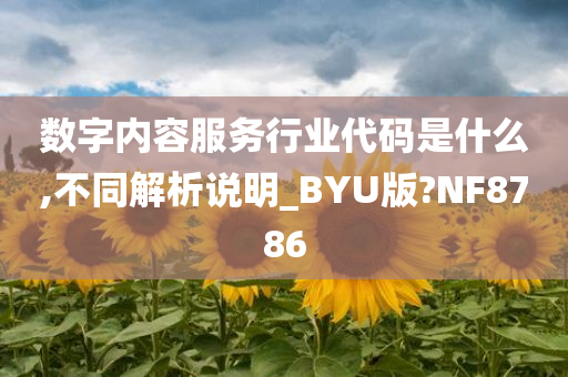 数字内容服务行业代码是什么,不同解析说明_BYU版?NF8786