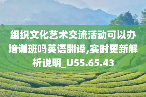 组织文化艺术交流活动可以办培训班吗英语翻译,实时更新解析说明_U55.65.43