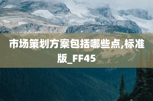 市场策划方案包括哪些点,标准版_FF45