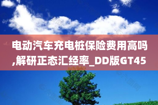 电动汽车充电桩保险费用高吗,解研正态汇经率_DD版GT45