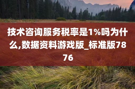 技术咨询服务税率是1%吗为什么,数据资料游戏版_标准版7876