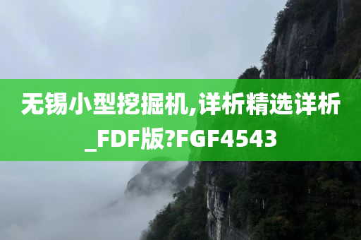 无锡小型挖掘机,详析精选详析_FDF版?FGF4543