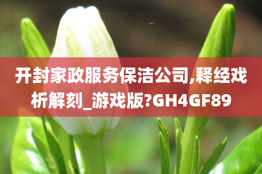 开封家政服务保洁公司,释经戏析解刻_游戏版?GH4GF89