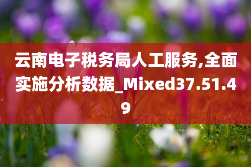 云南电子税务局人工服务,全面实施分析数据_Mixed37.51.49