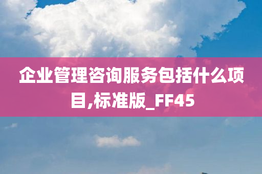 企业管理咨询服务包括什么项目,标准版_FF45