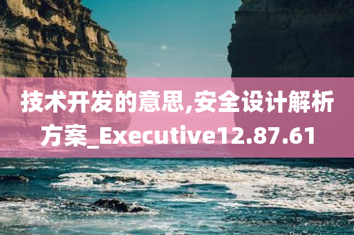 技术开发的意思,安全设计解析方案_Executive12.87.61