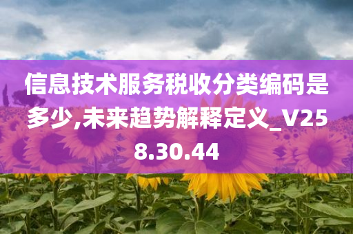 信息技术服务税收分类编码是多少,未来趋势解释定义_V258.30.44