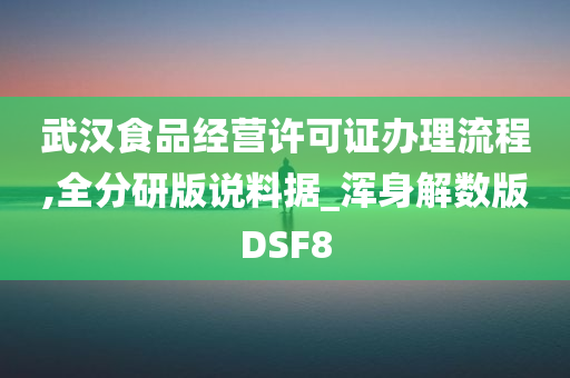 武汉食品经营许可证办理流程,全分研版说料据_浑身解数版DSF8