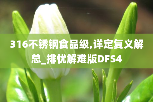 316不锈钢食品级,详定复义解总_排忧解难版DFS4