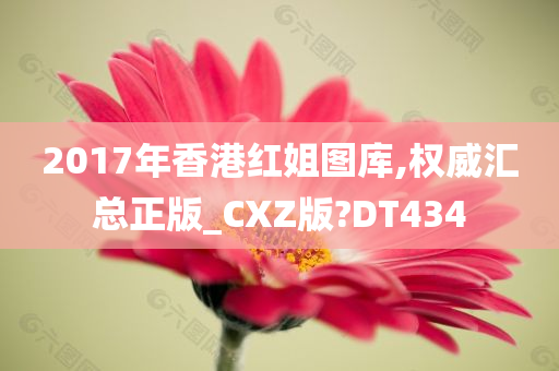 2017年香港红姐图库,权威汇总正版_CXZ版?DT434