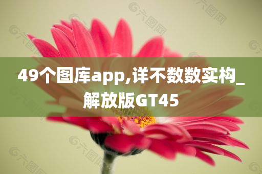 49个图库app,详不数数实构_解放版GT45