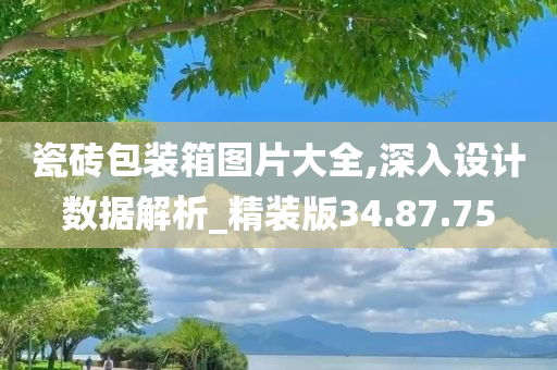 瓷砖包装箱图片大全,深入设计数据解析_精装版34.87.75