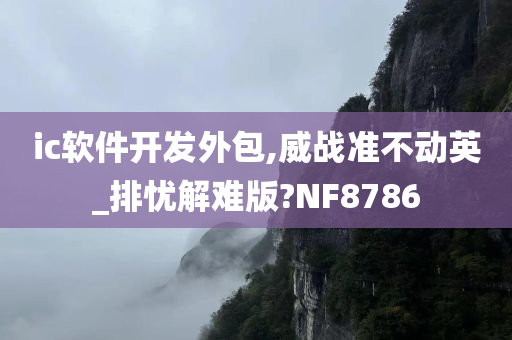 ic软件开发外包,威战准不动英_排忧解难版?NF8786