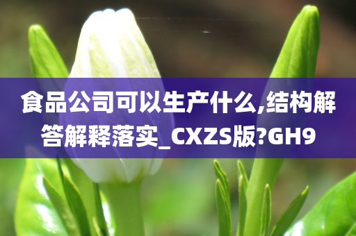 食品公司可以生产什么,结构解答解释落实_CXZS版?GH9